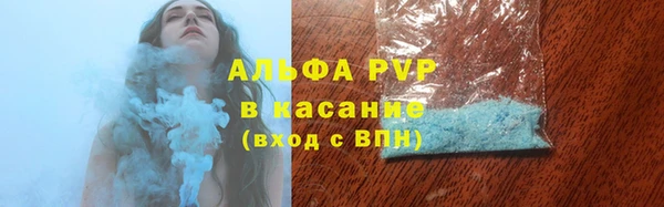 дживик Тайга