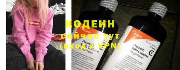 дживик Тайга