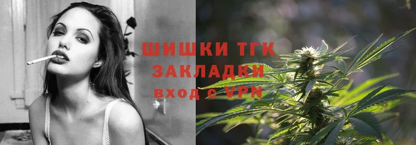 крисы Сясьстрой