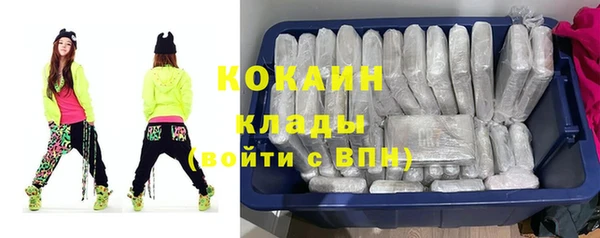 крисы Сясьстрой