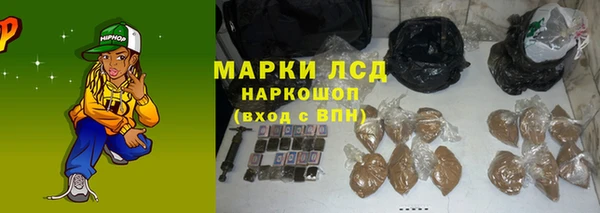 дживик Тайга
