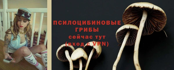 крисы Сясьстрой
