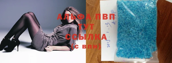 дживик Тайга