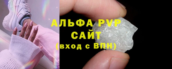 дживик Тайга