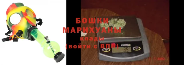 крисы Сясьстрой