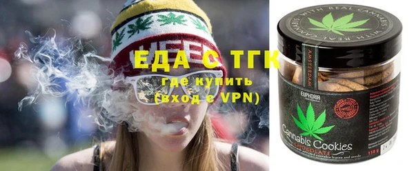 дживик Тайга
