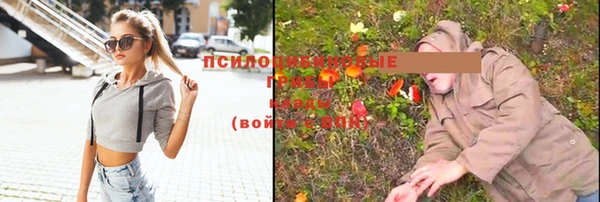 скорость Тавда