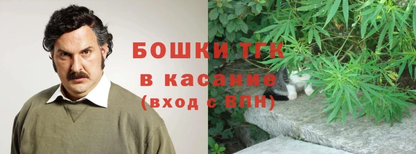 крисы Сясьстрой