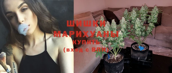 дживик Тайга