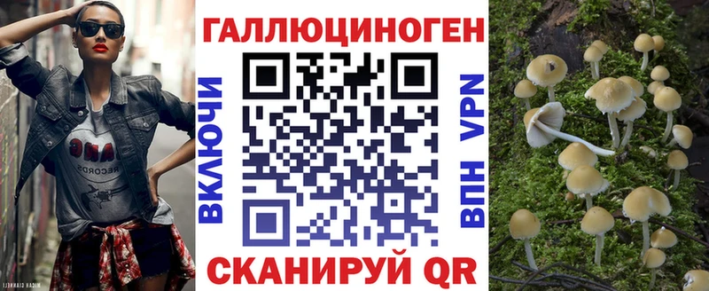 купить наркотик  Бологое  hydra онион  Галлюциногенные грибы MAGIC MUSHROOMS 
